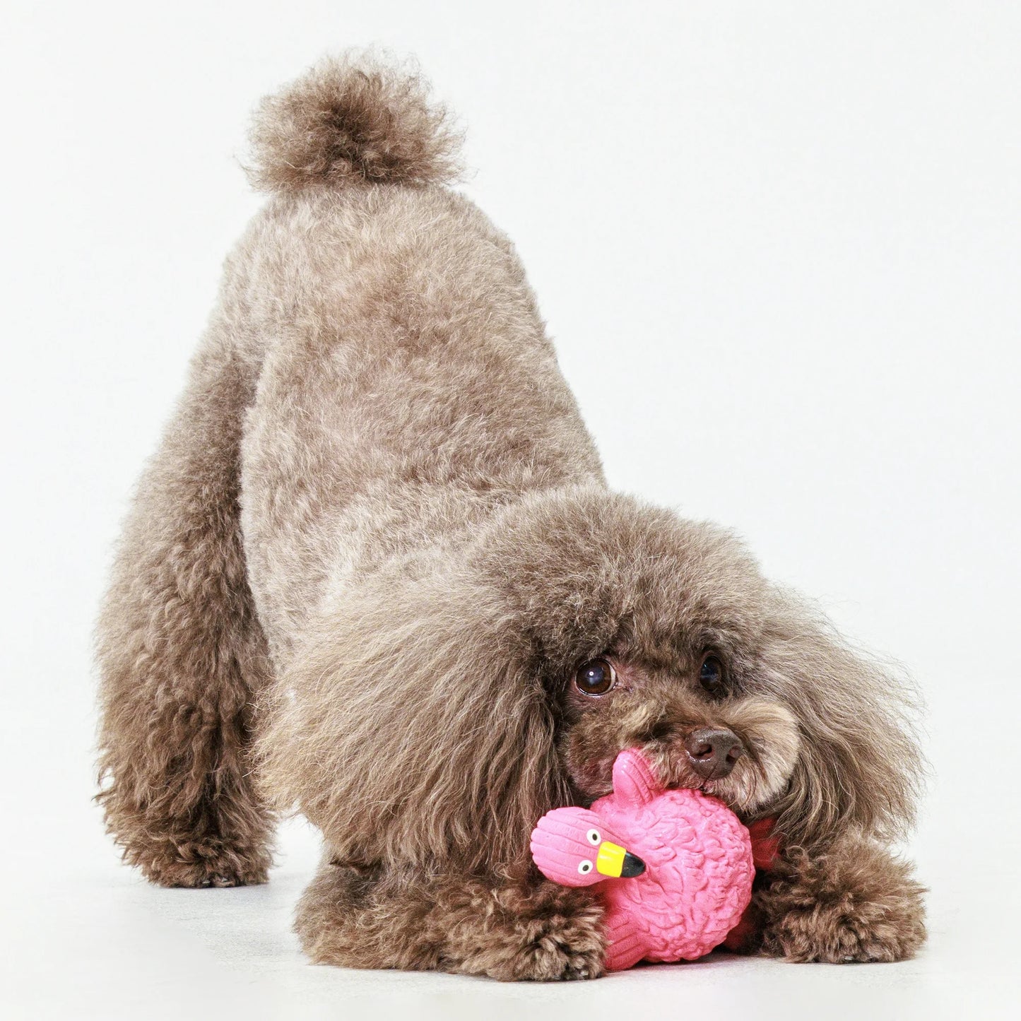 Vibrant Flamingo Dog Toy