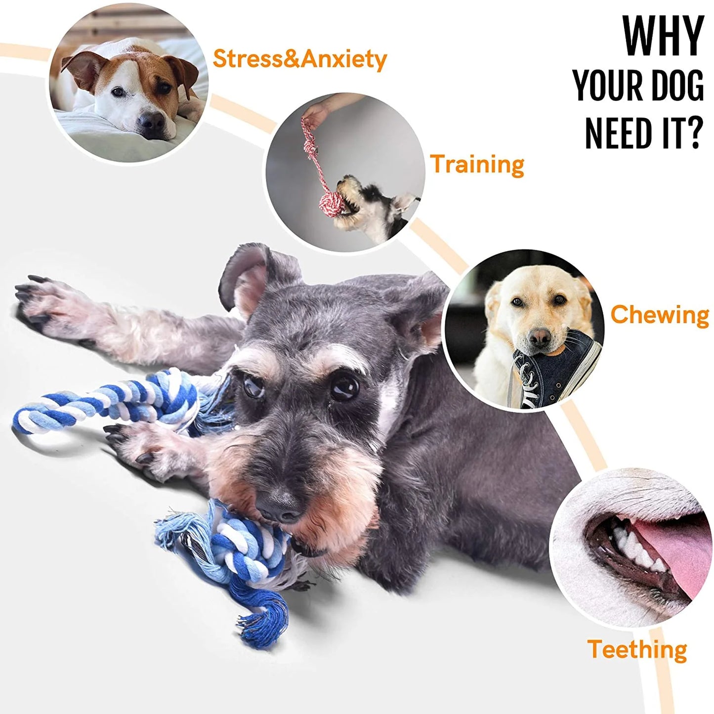 Dog Rope Toy - 4 Pack
