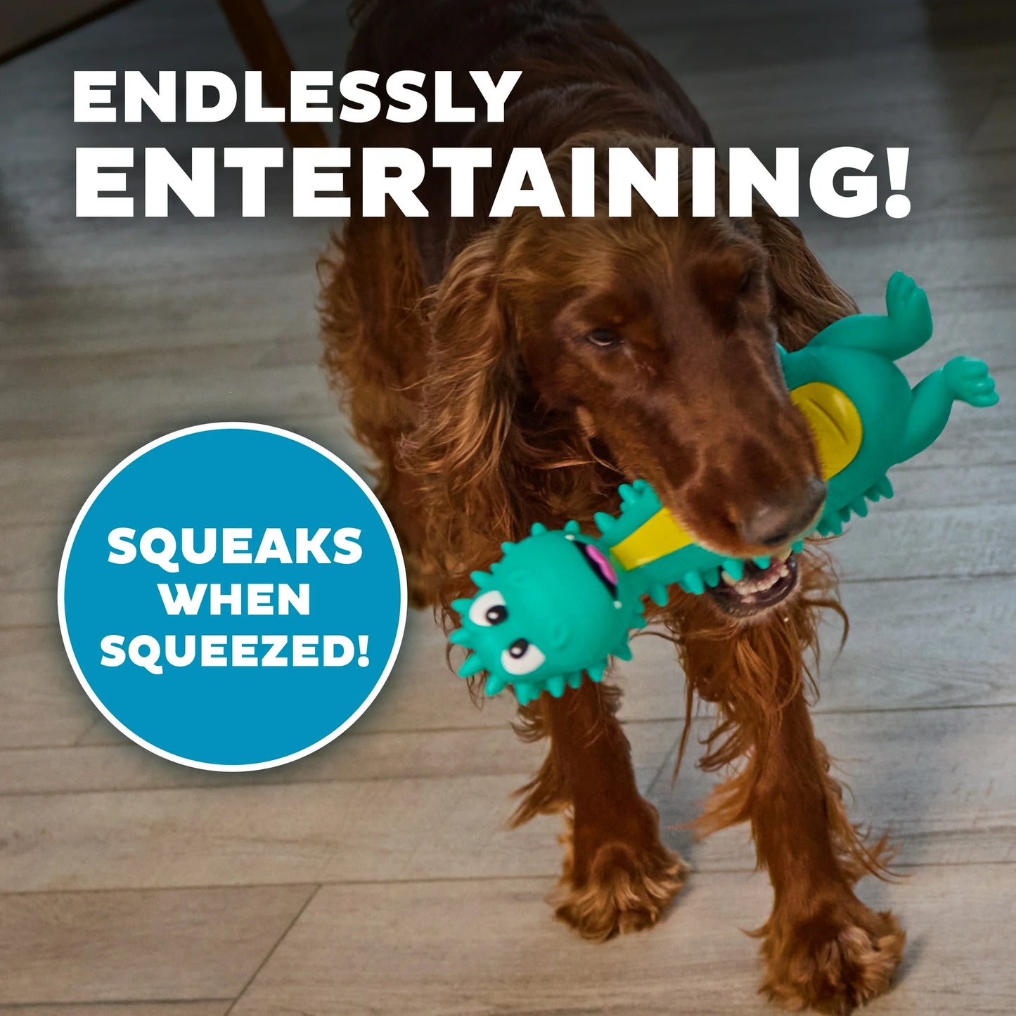 Outward Hound Big Squeak Latex Free Dino Toy