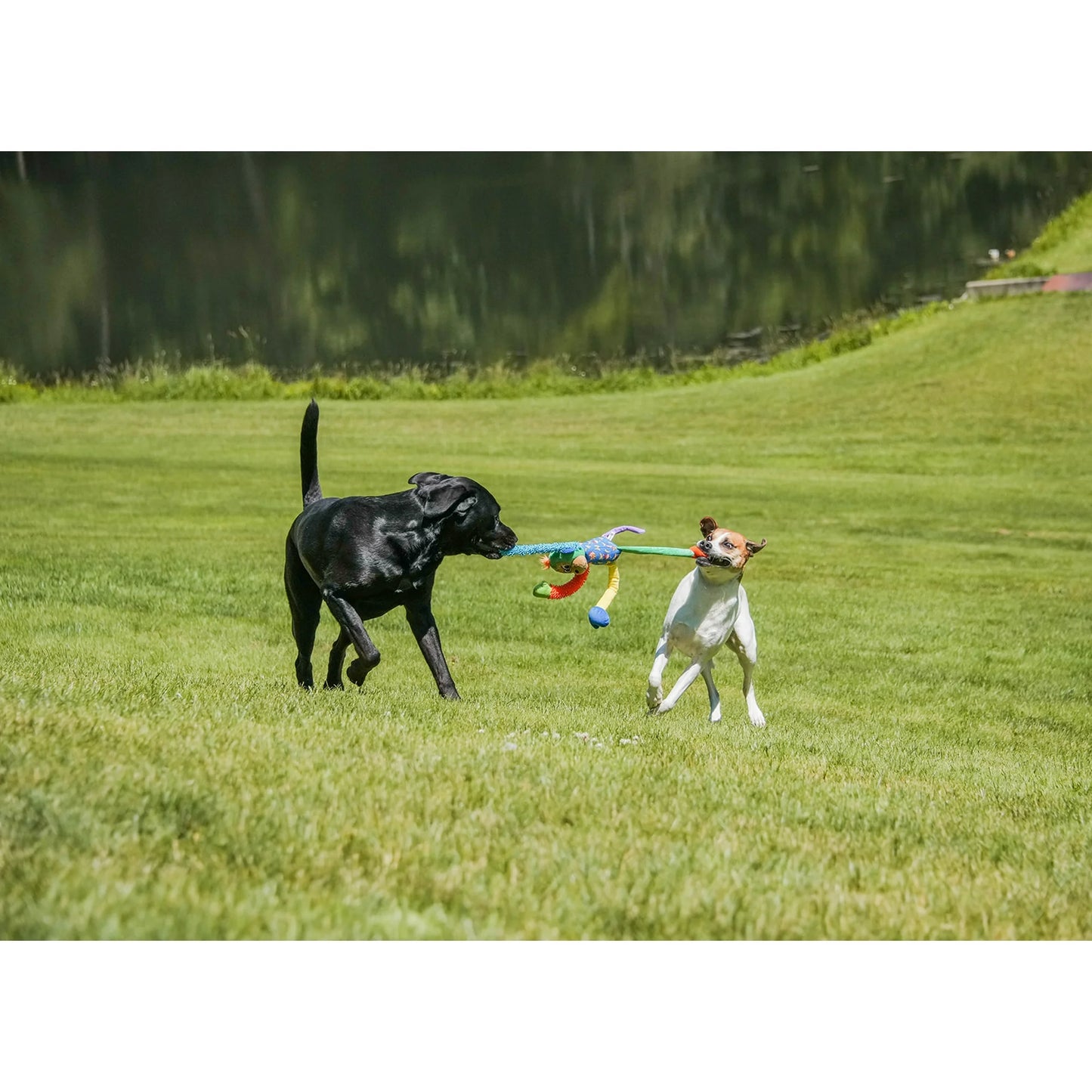 Multicrew Monkey Plush Dog Toy, Six Squeakers, 18"