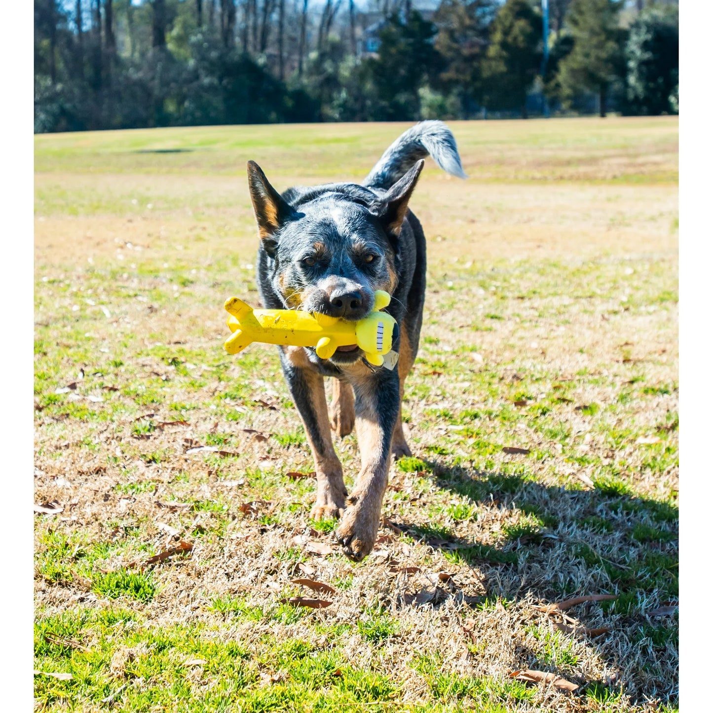Smiling Dog Loofa Plush Dog Toy