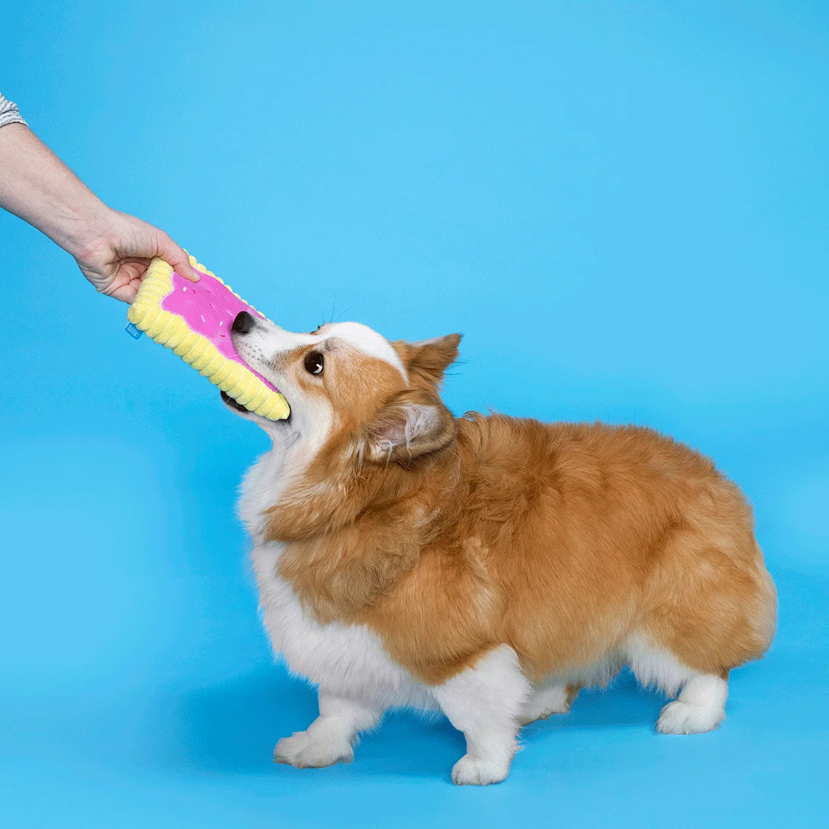 Toaster Poodle Dog Plush Toy